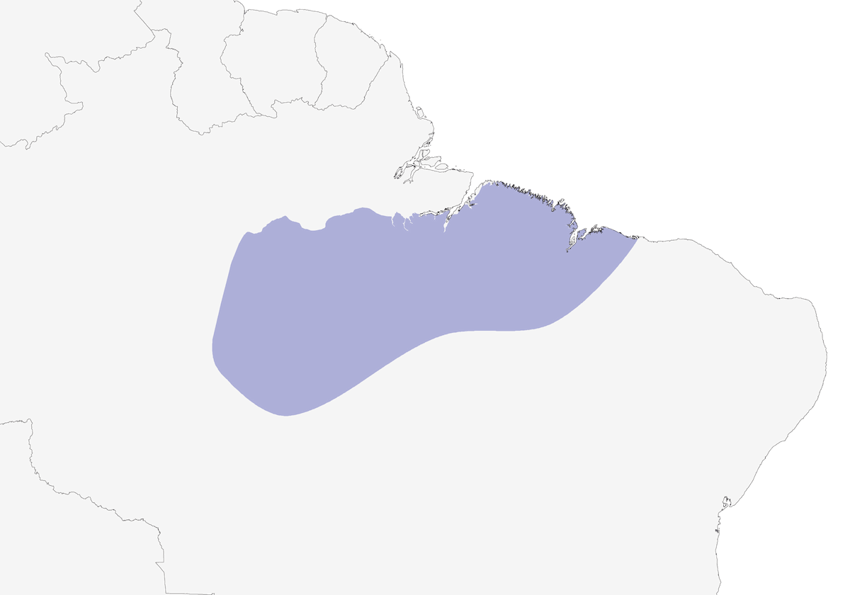 White-tailed Cotinga, Distribution 1
