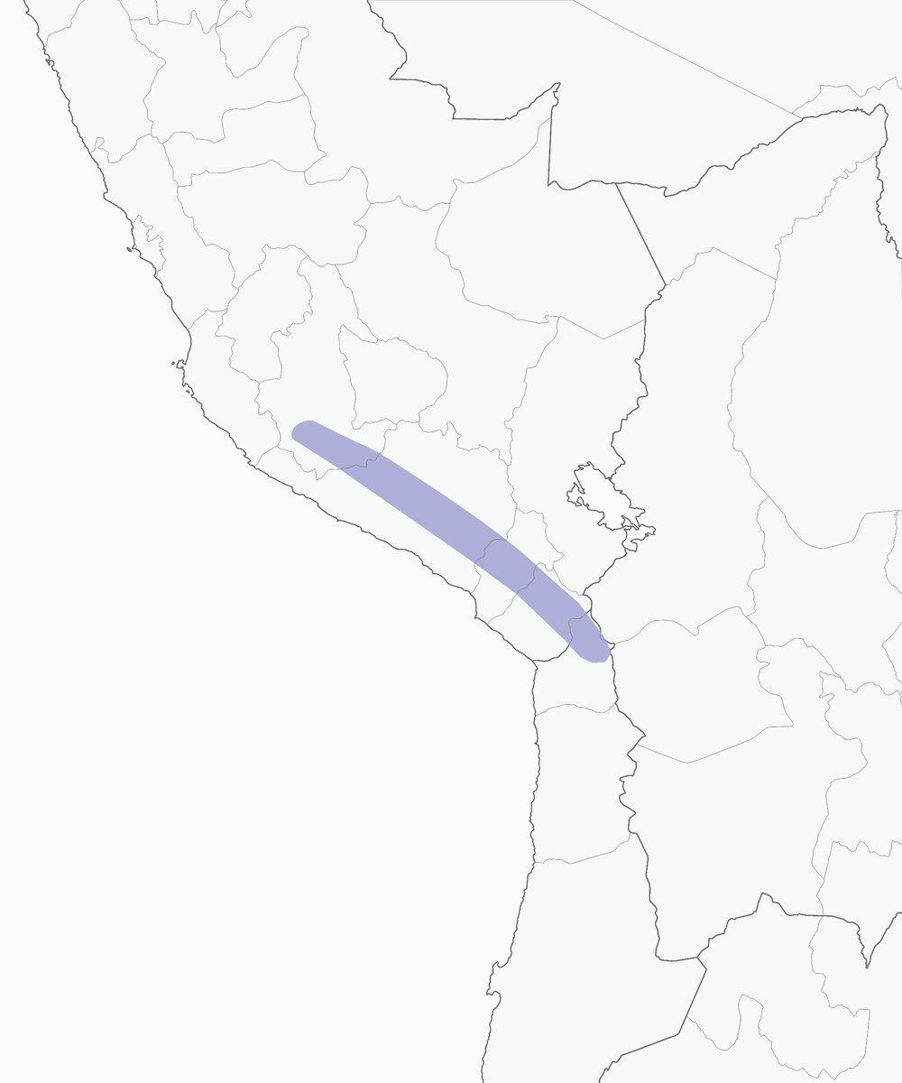 White-throated Earthcreeper, Distribution 1