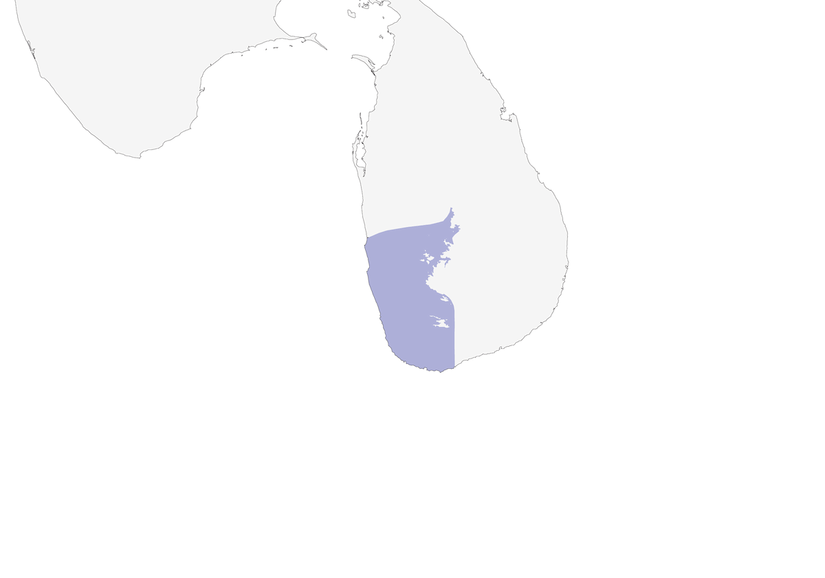 Beccafiore dalla gola bianca, Distribuzione 1