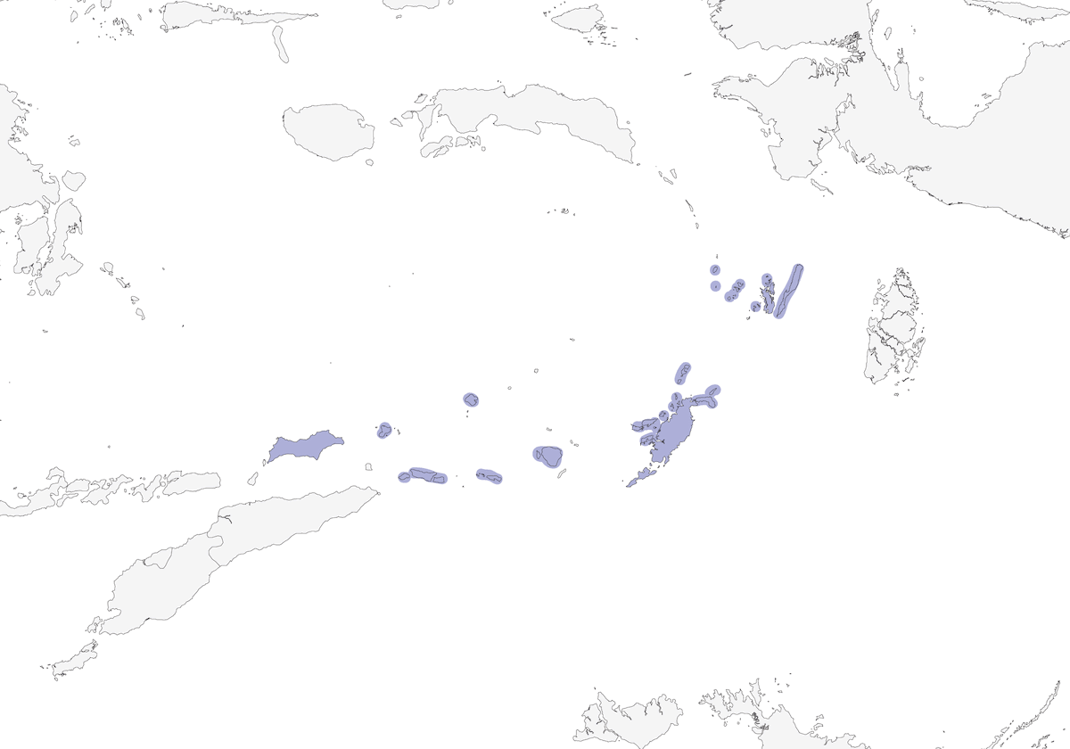 Méliphage à touffes blanches, Distribution 1