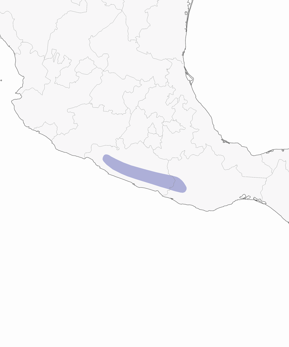 Colibrí coliblanco, Distribución 1