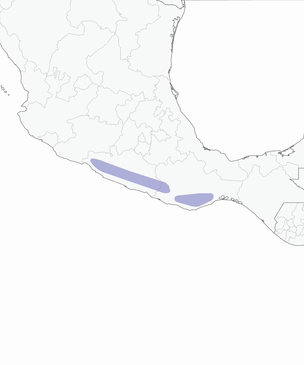 Ghiandaia golabianca, Distribuzione 1