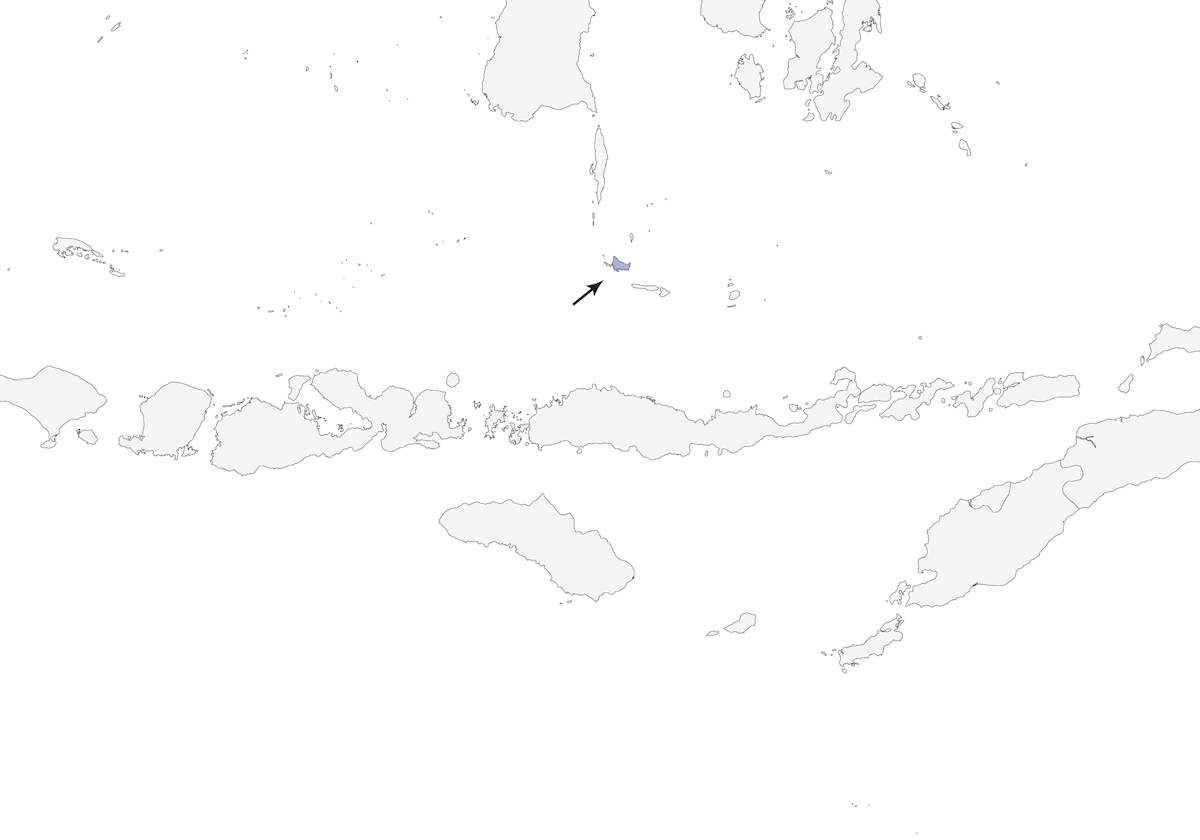 Monarca de Tanahjampea, Distribución 1