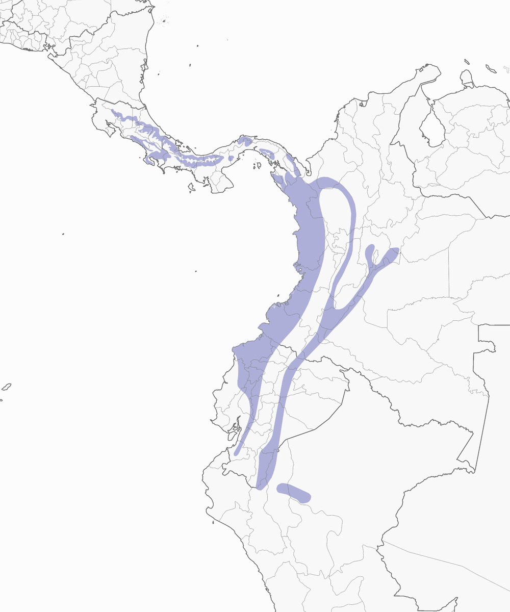 White-tipped Sicklebill, Distribution 1