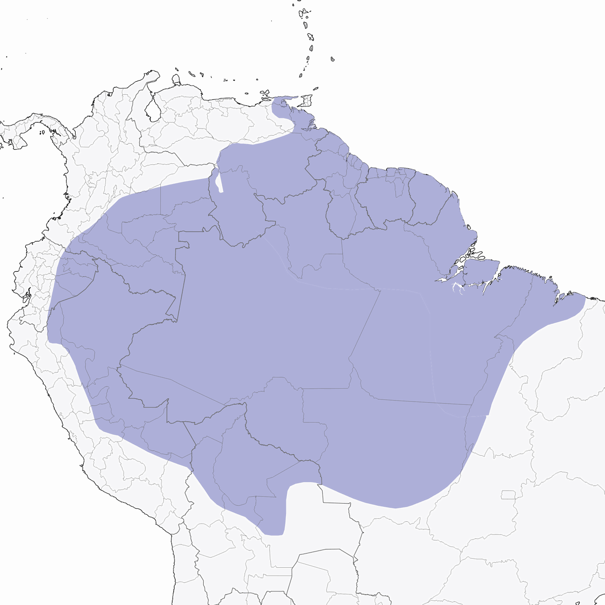 Tucán Gorjiblanco, Distribución 1