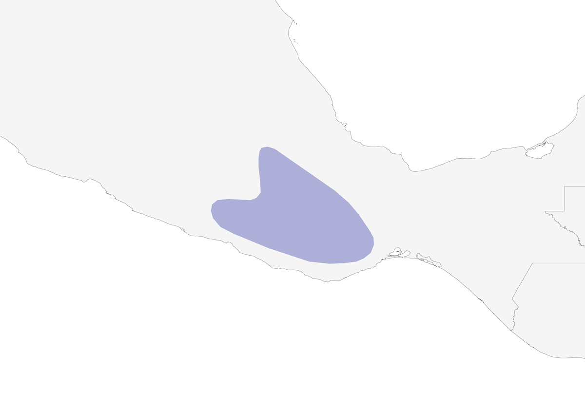 Rascador Gorgiblanco, Distribución 1