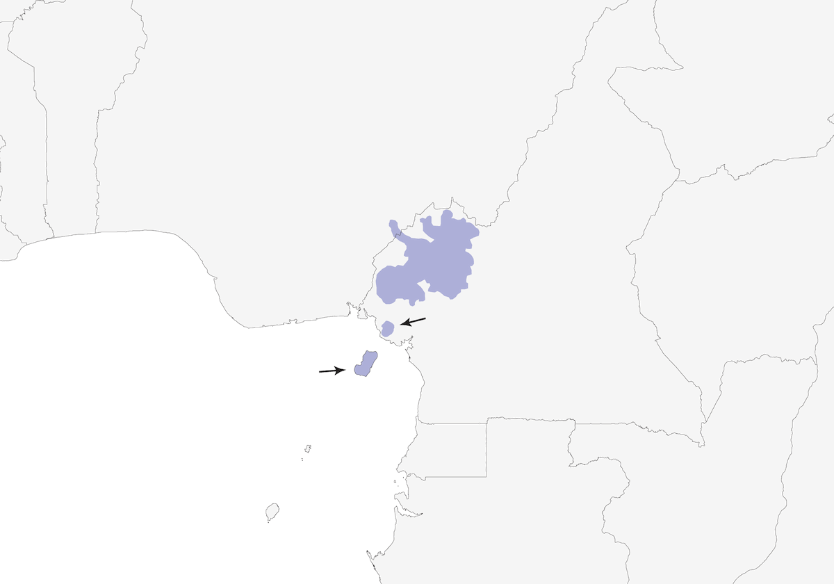 Reinita Coliblanca, Distribución 1