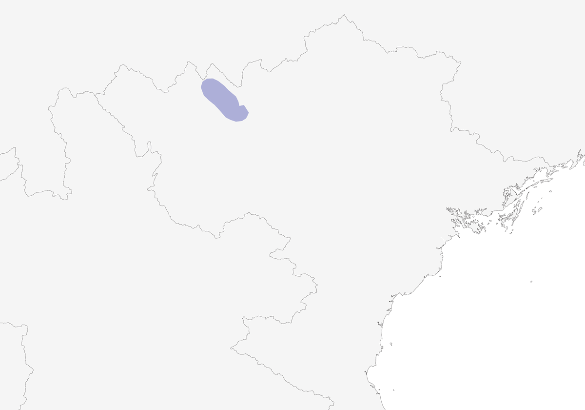 Garrulo scricciolo golabianca, Distribuzione 1