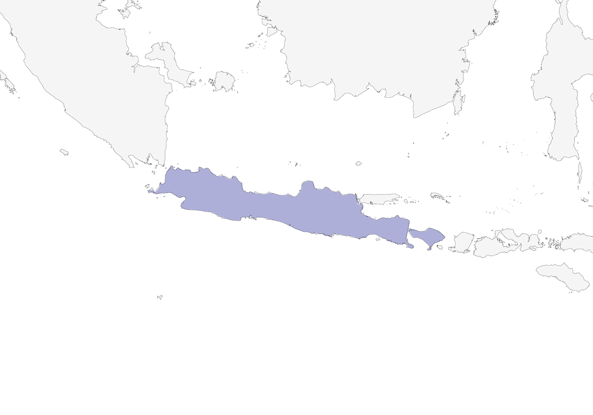 Mina di Giava, Distribuzione 1