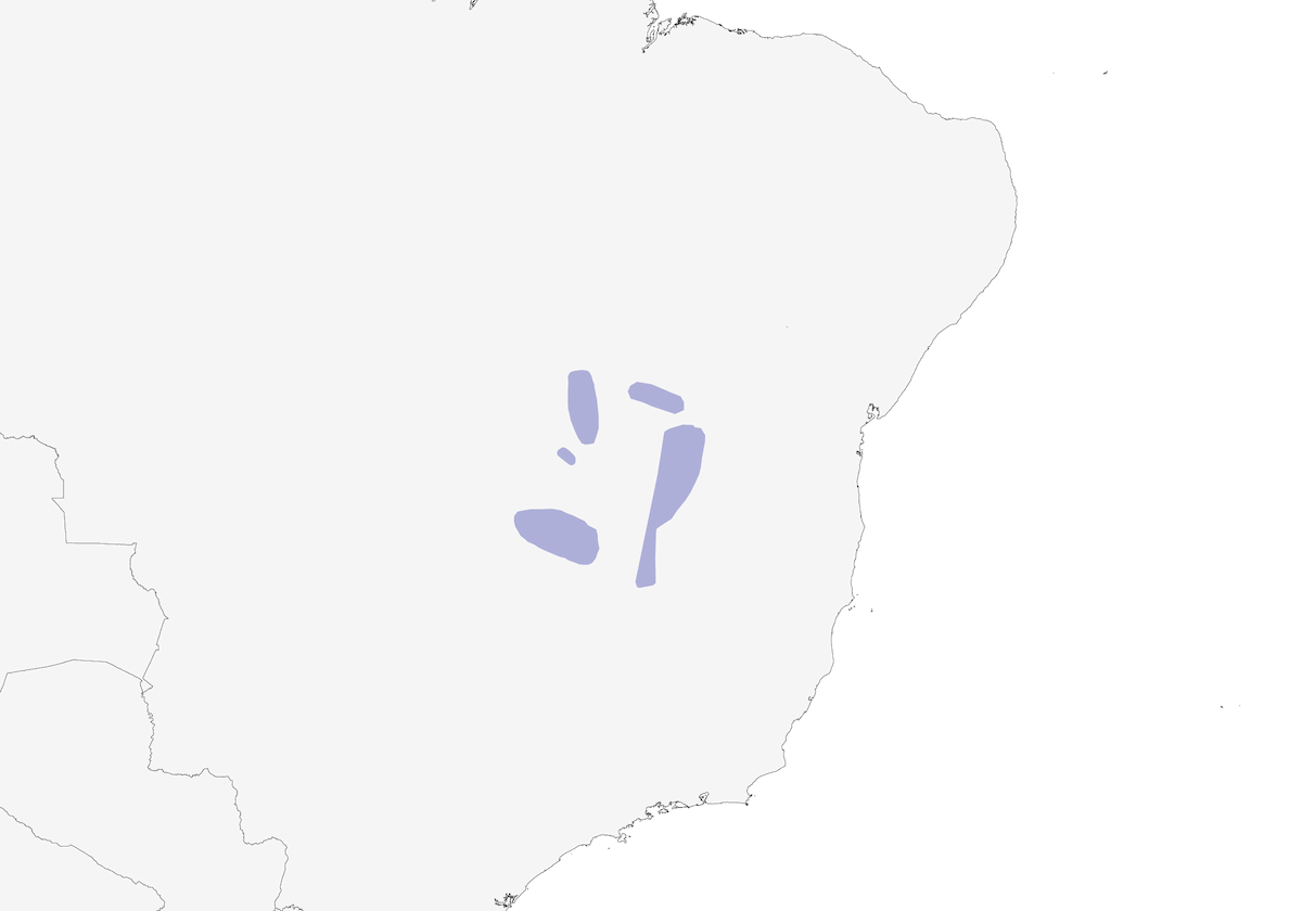 Tiranno nero della Caatinga, Distribuzione 1