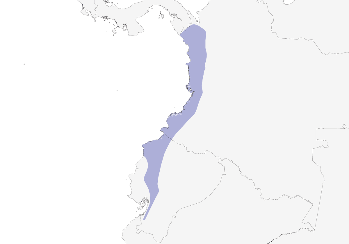 White-whiskered Hermit, Distribution 1