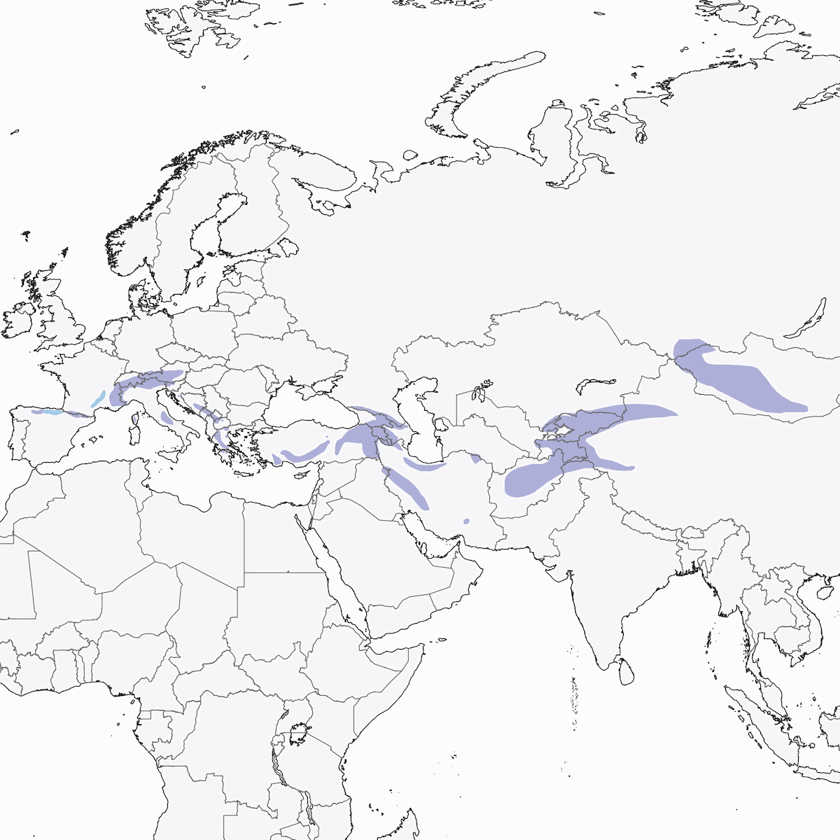White-winged Snowfinch, Distribution 1