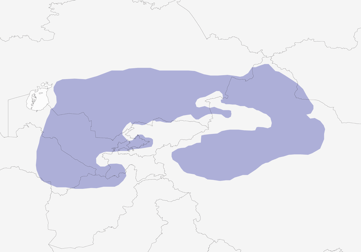 White-winged Woodpecker, Distribution 1