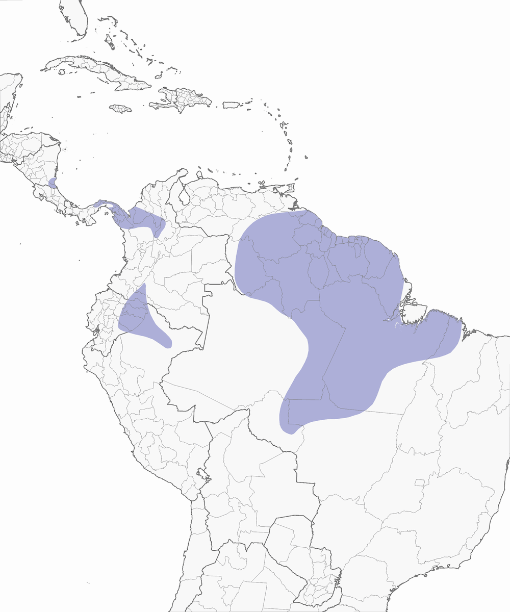 Wing-banded Antbird, Distribution 1
