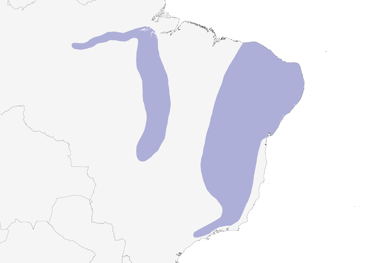 Wing-banded Hornero, Distribution 1