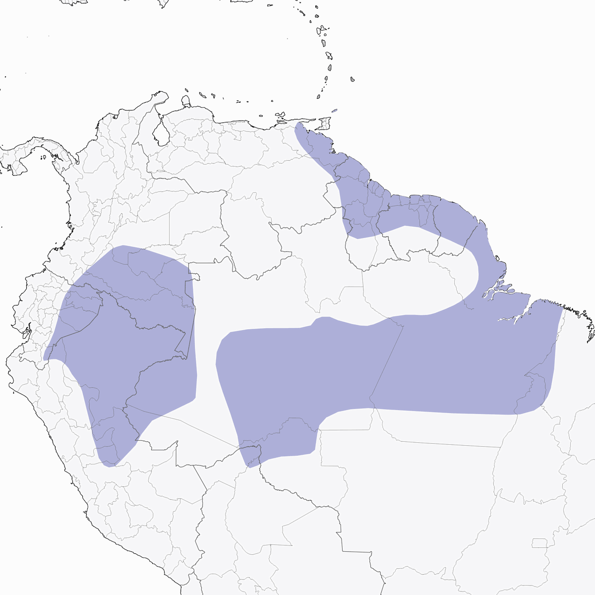 Beccasemi alibarrate, Distribuzione 1