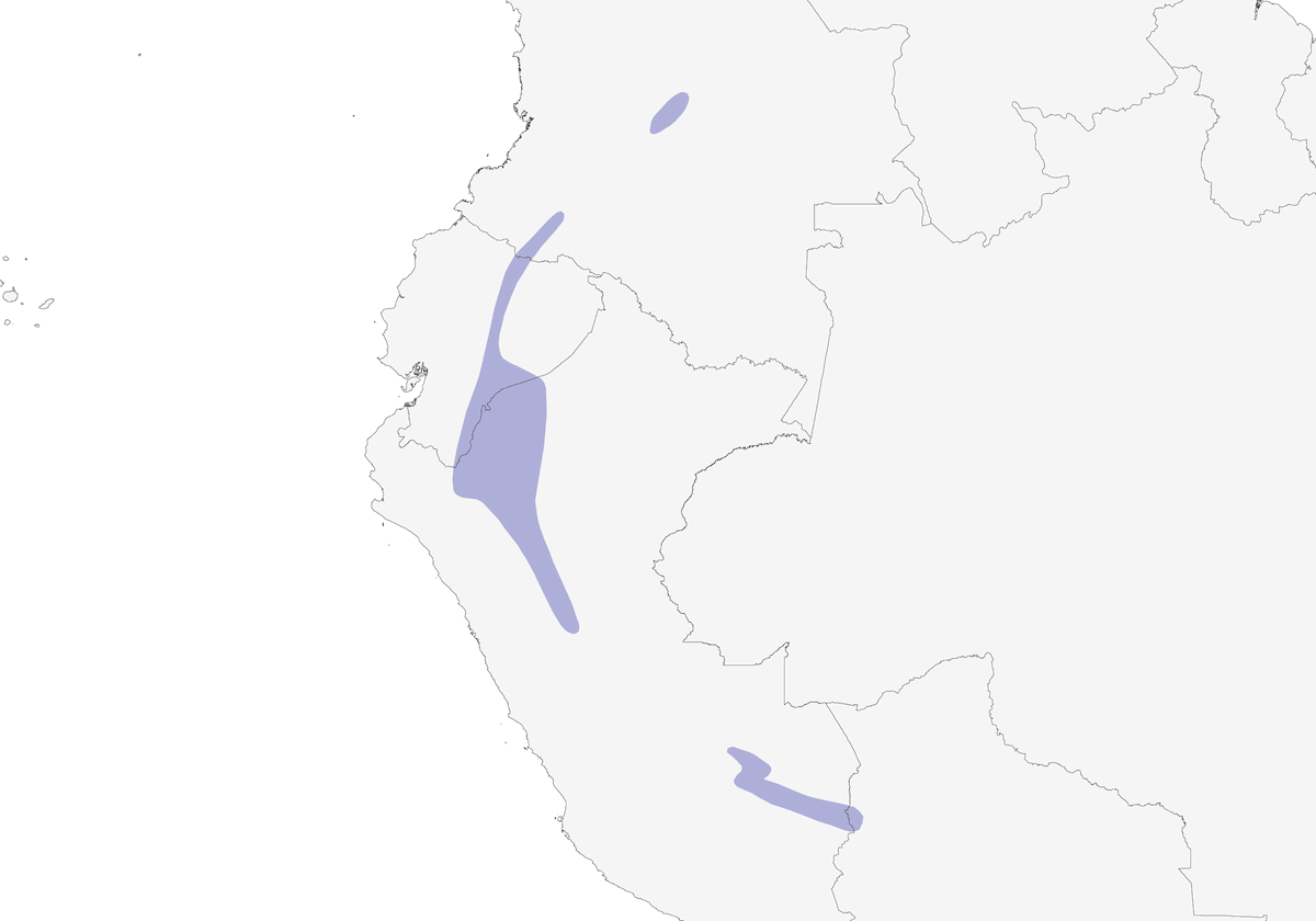Colapúas Crestihilo, Distribución 1