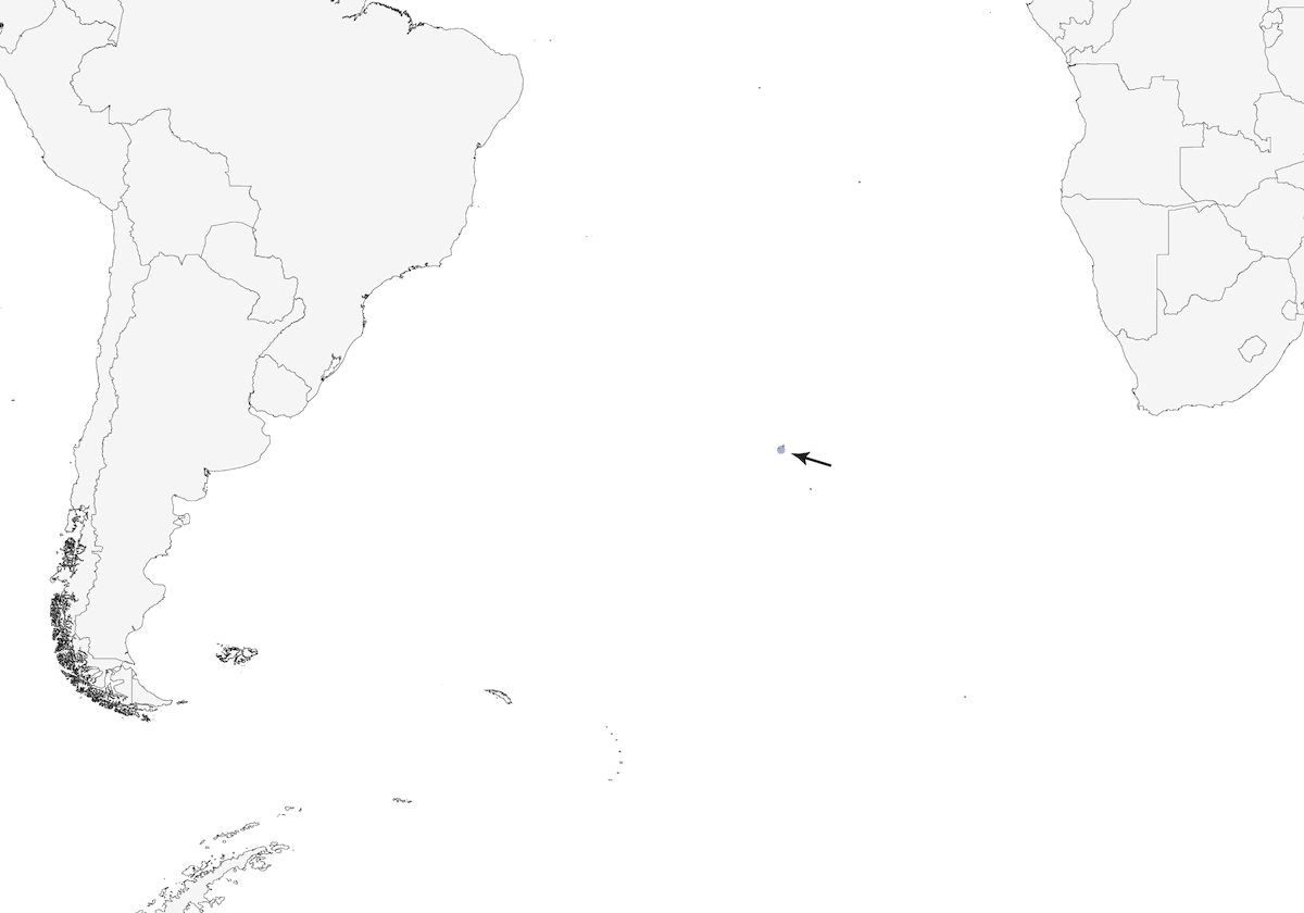 Pinzón de Wilkins, Distribución 1