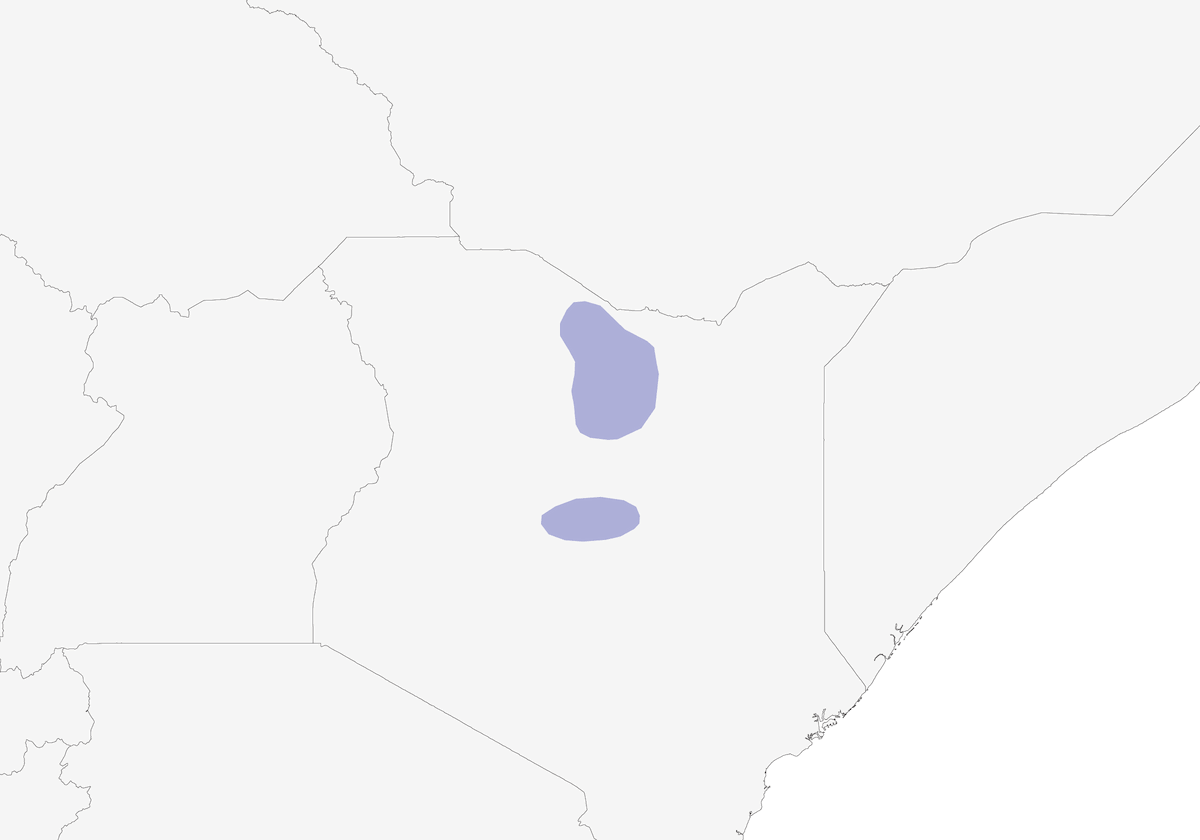 Williams's Lark, Distribution 1