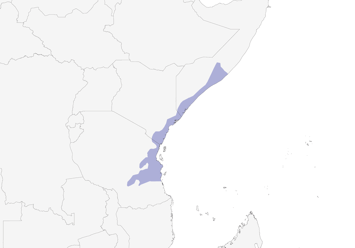Coastal Cisticola, Distribution 1