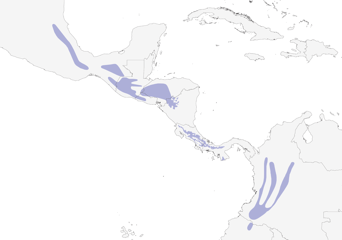 Pinzón arbustero de nuca blanca, Distribución 1