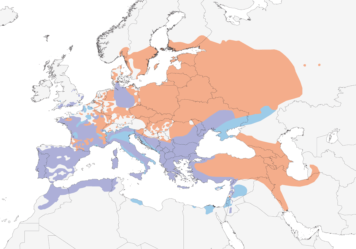 Allodola arborea, Distribuzione 1