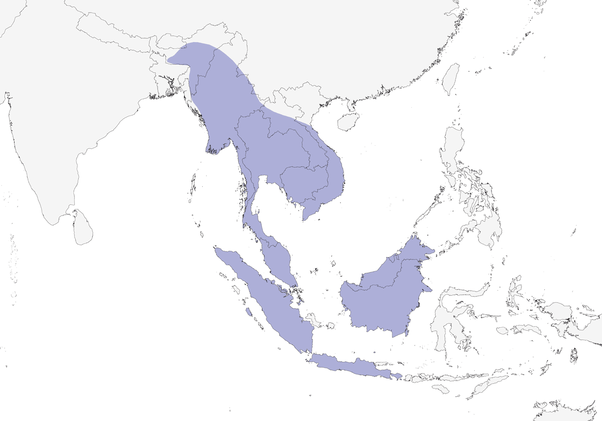 Wreathed Hornbill, Distribution 1