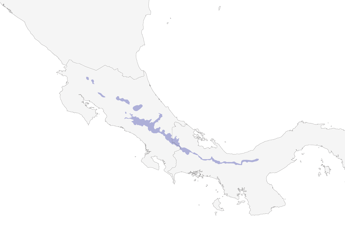 Zeledonia coronata, Distribuzione 1