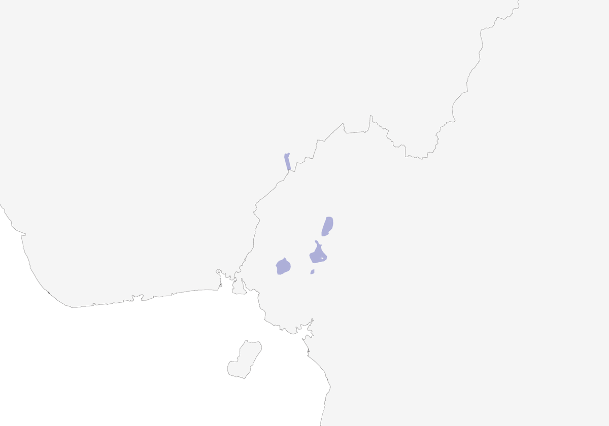 Garrulo montano golabianca, Distribuzione 1