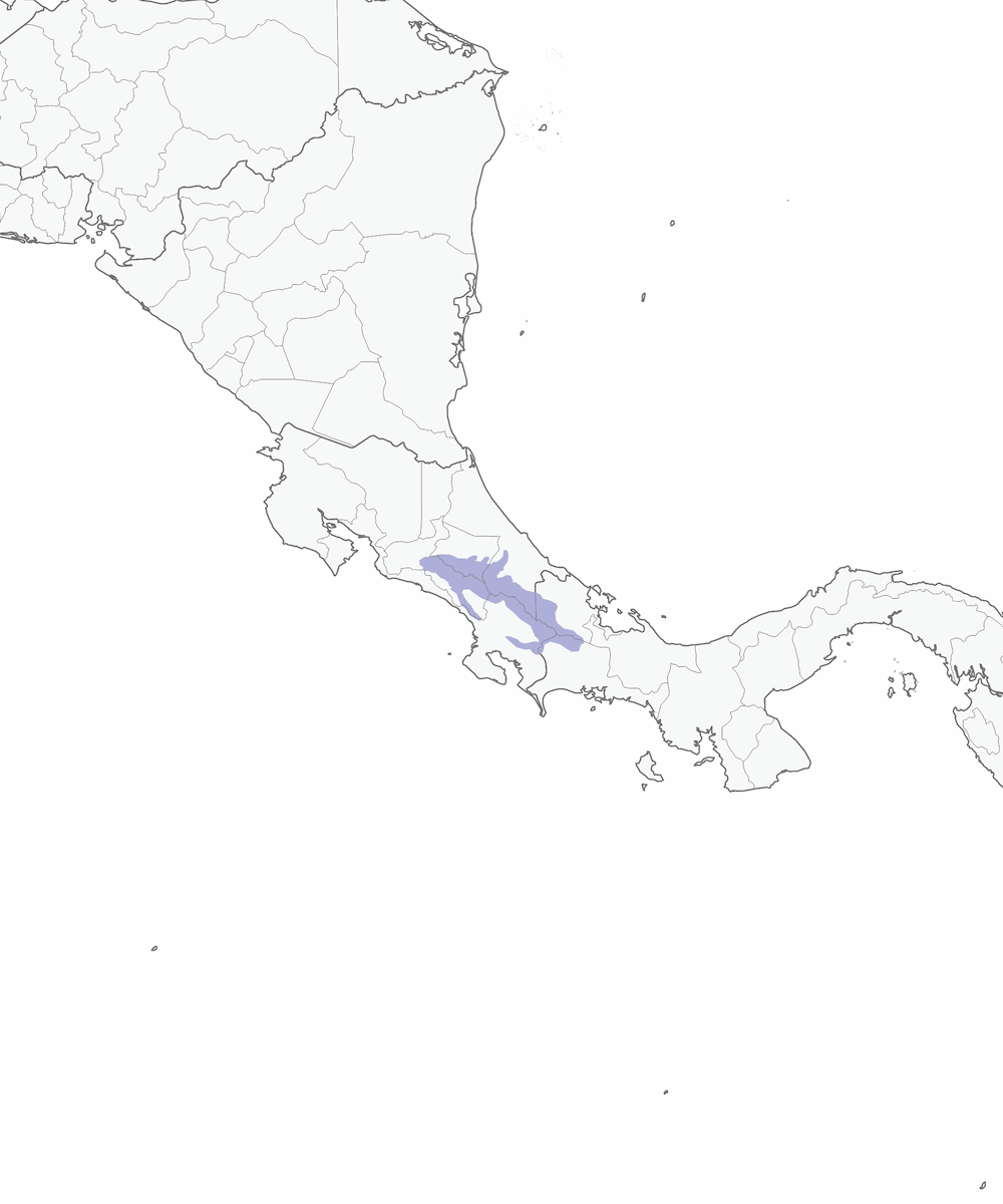 Gemma di montagna golabianca, Distribuzione 1