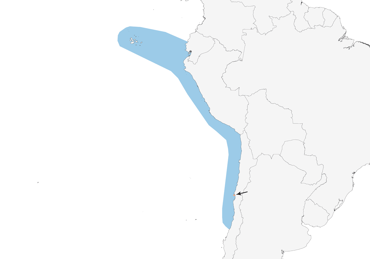 Elliot's Storm-Petrel, Distribution 1