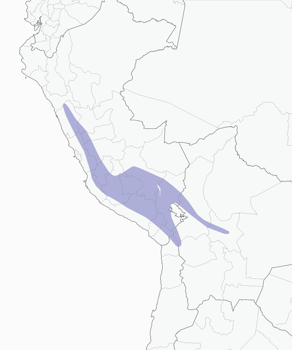 Glacier Finch, Distribution 1