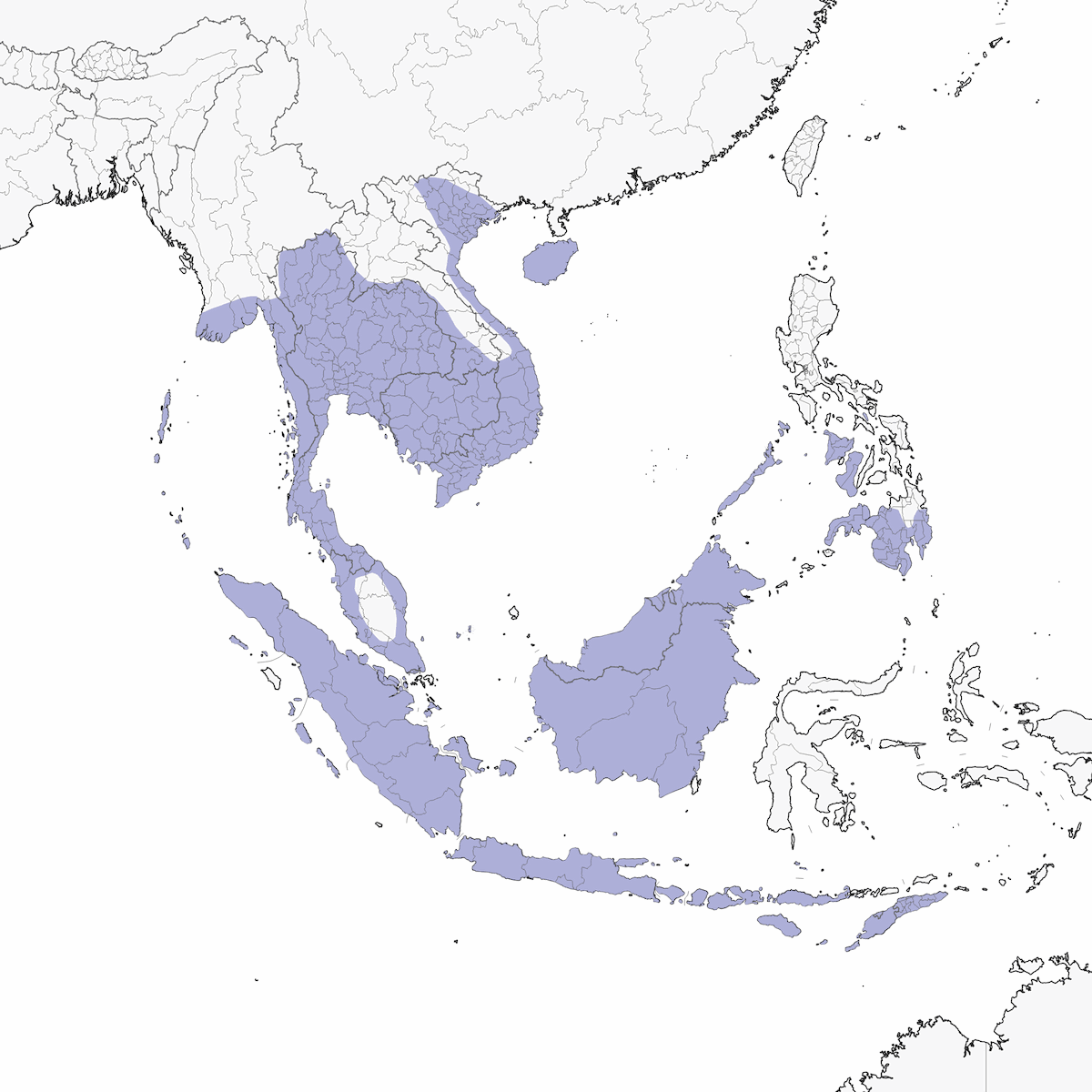 Salangana nidi bianchi, Distribuzione 1