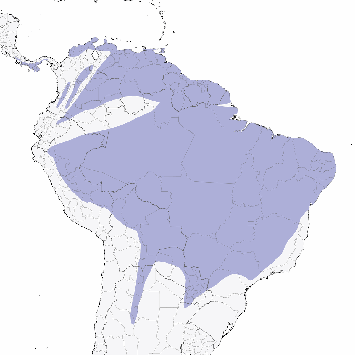 Mosquerito murino, Distribución 1