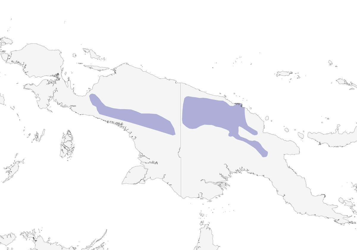 Yellow-breasted Bowerbird, Distribution 1