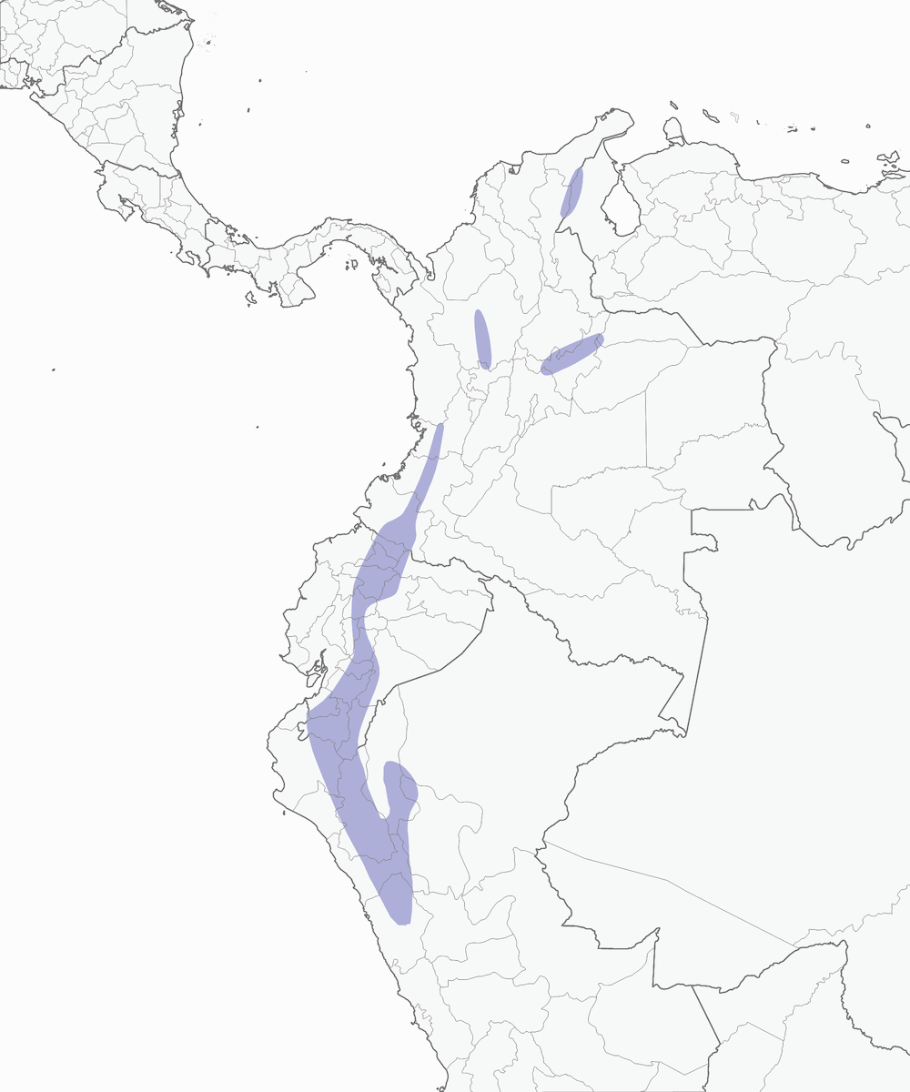 Fringuello di boscaglia pettogiallo, Distribuzione 1