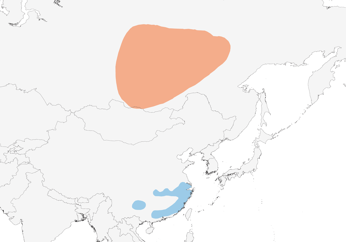 Yellow-browed Bunting, Distribution 1