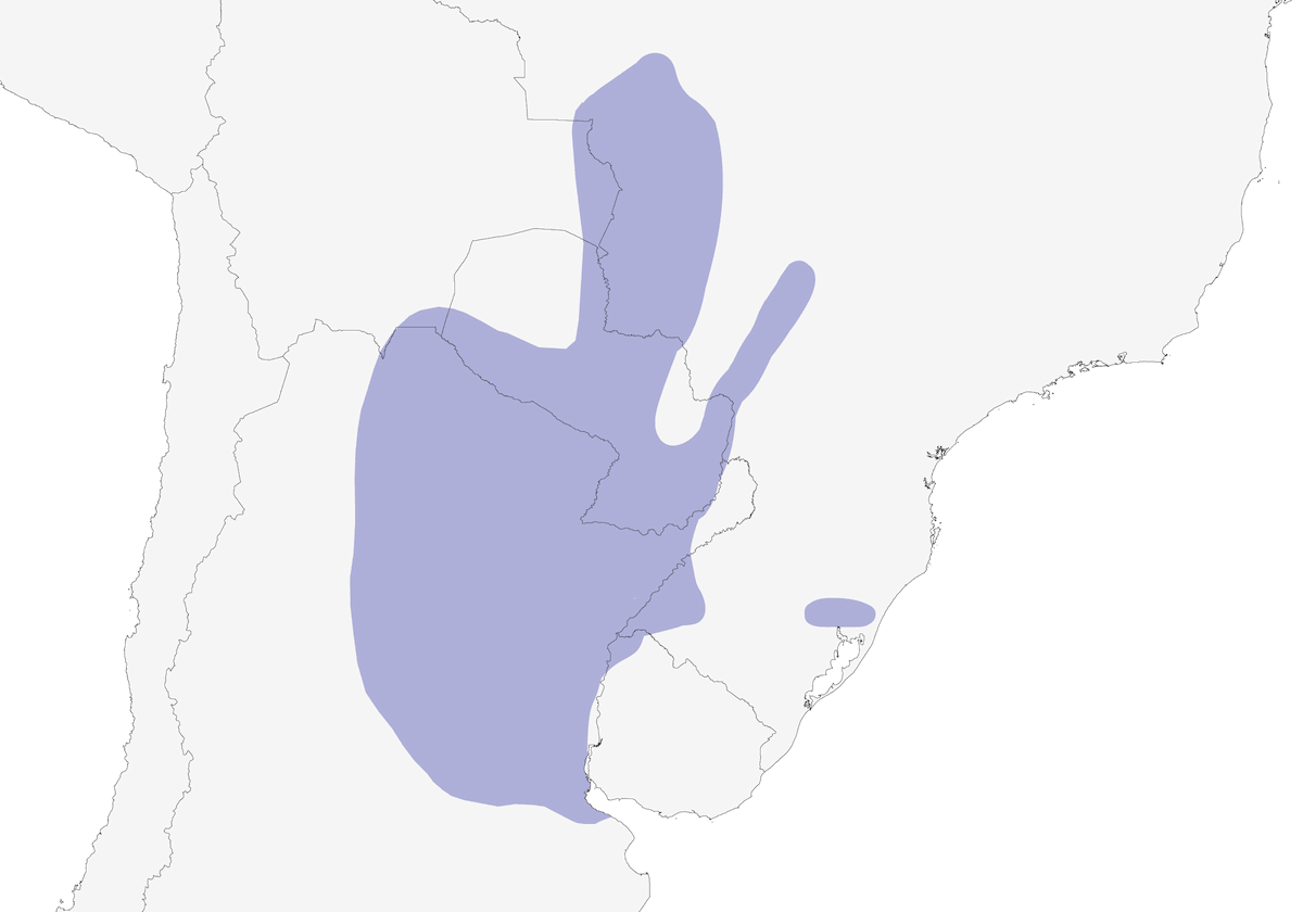 Cardenal de pico amarillo, Distribución 1