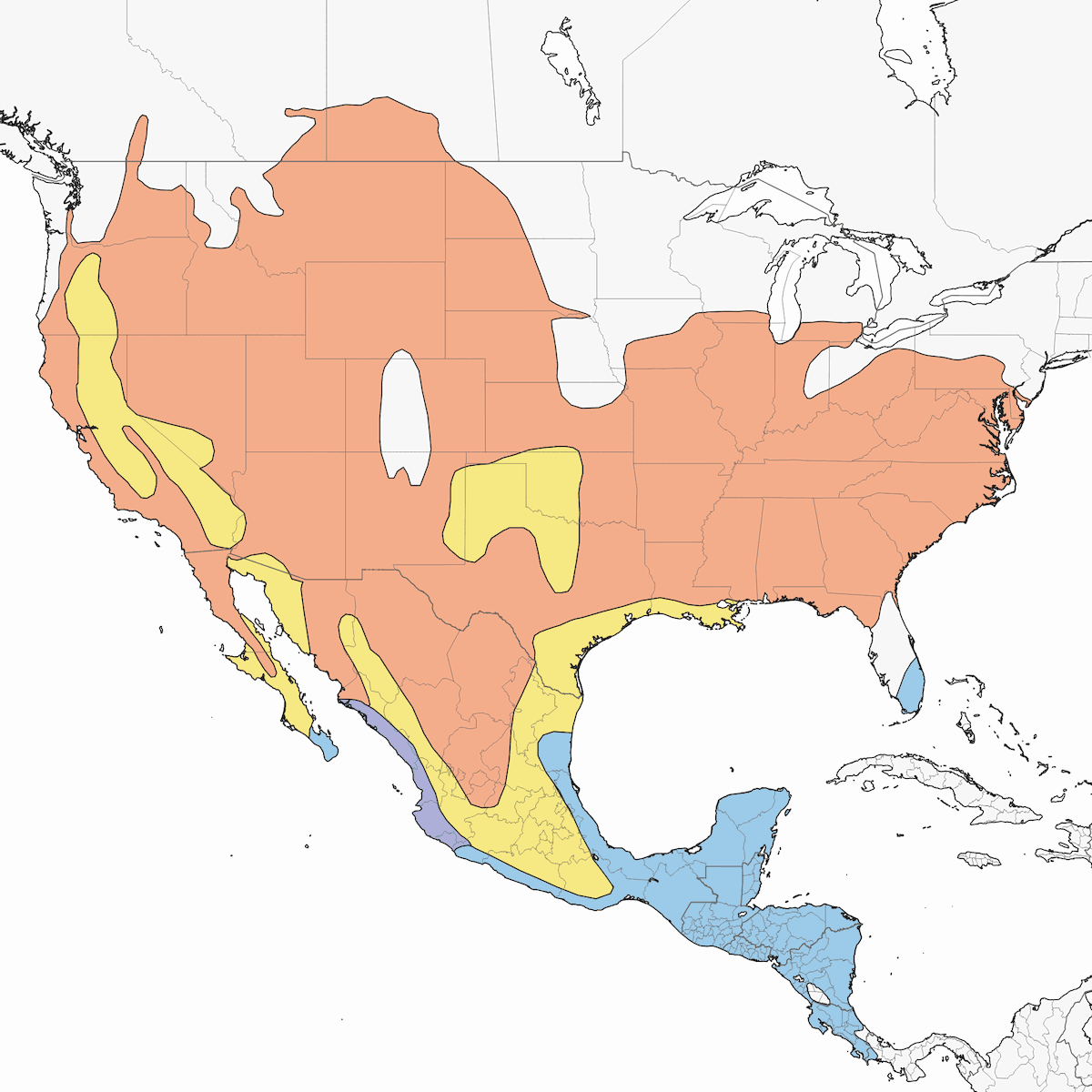 Chara Pechiamarilla, Distribución 1
