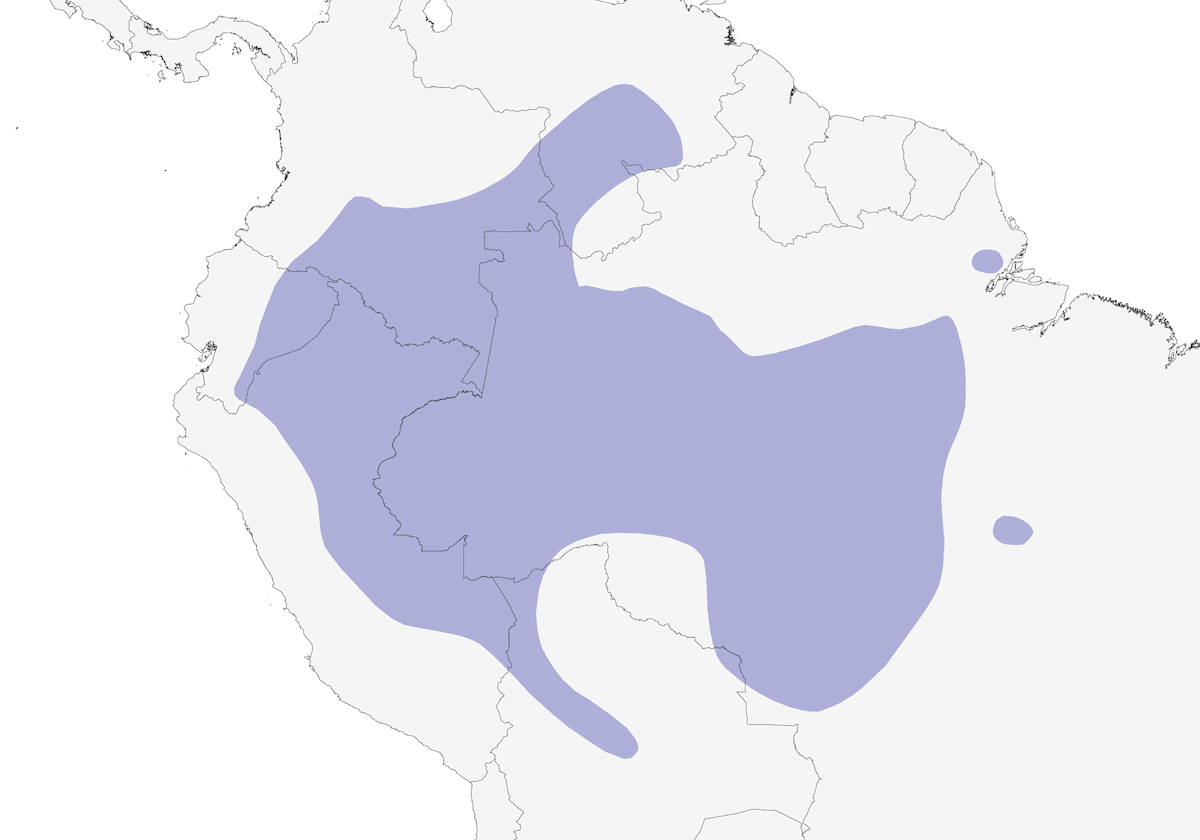 Yellow-bellied Dacnis, Distribution 1