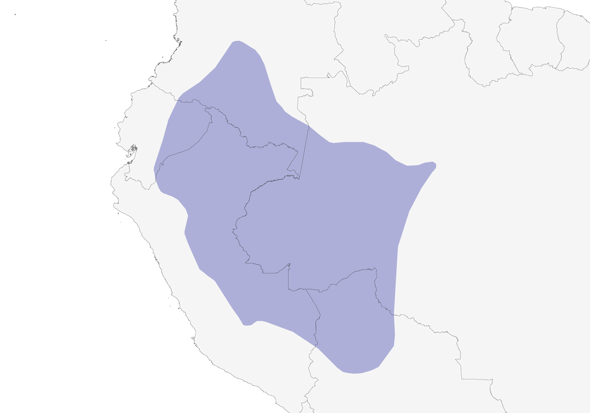 Olive-faced Flatbill, Distribution 1