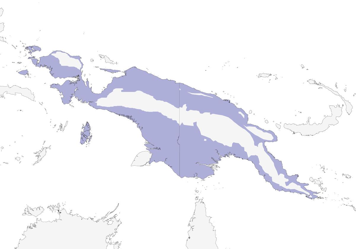 Gerigone ventregiallo, Distribuzione 1