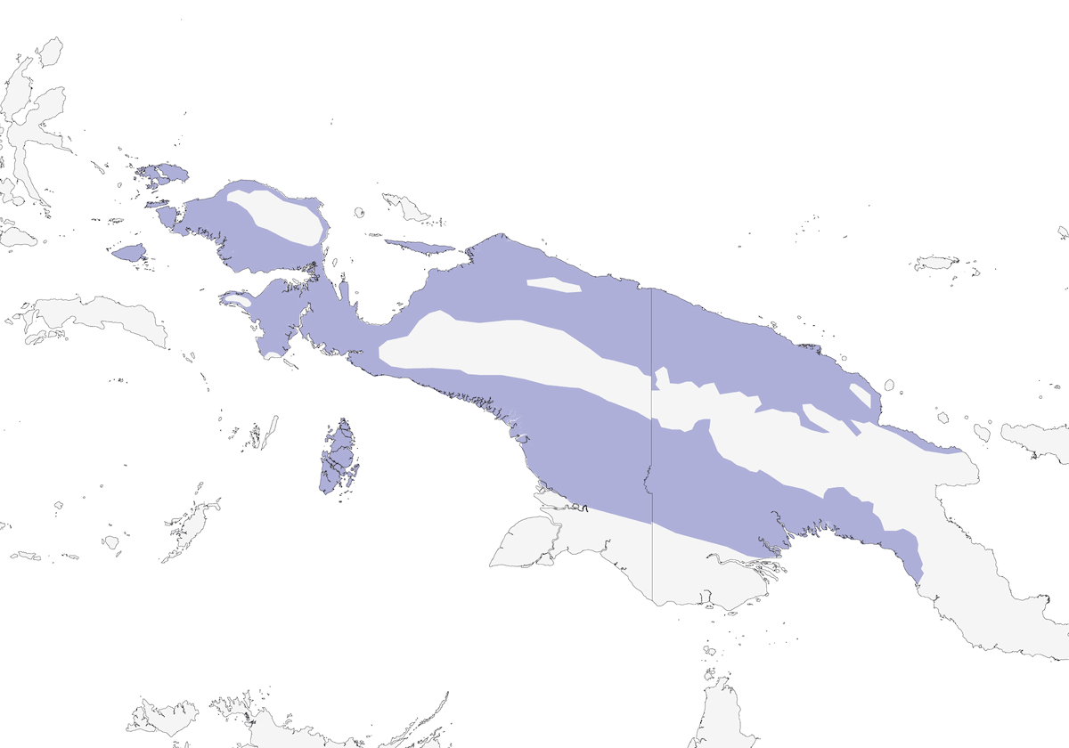 Yellow-bellied Longbill, Distribution 1