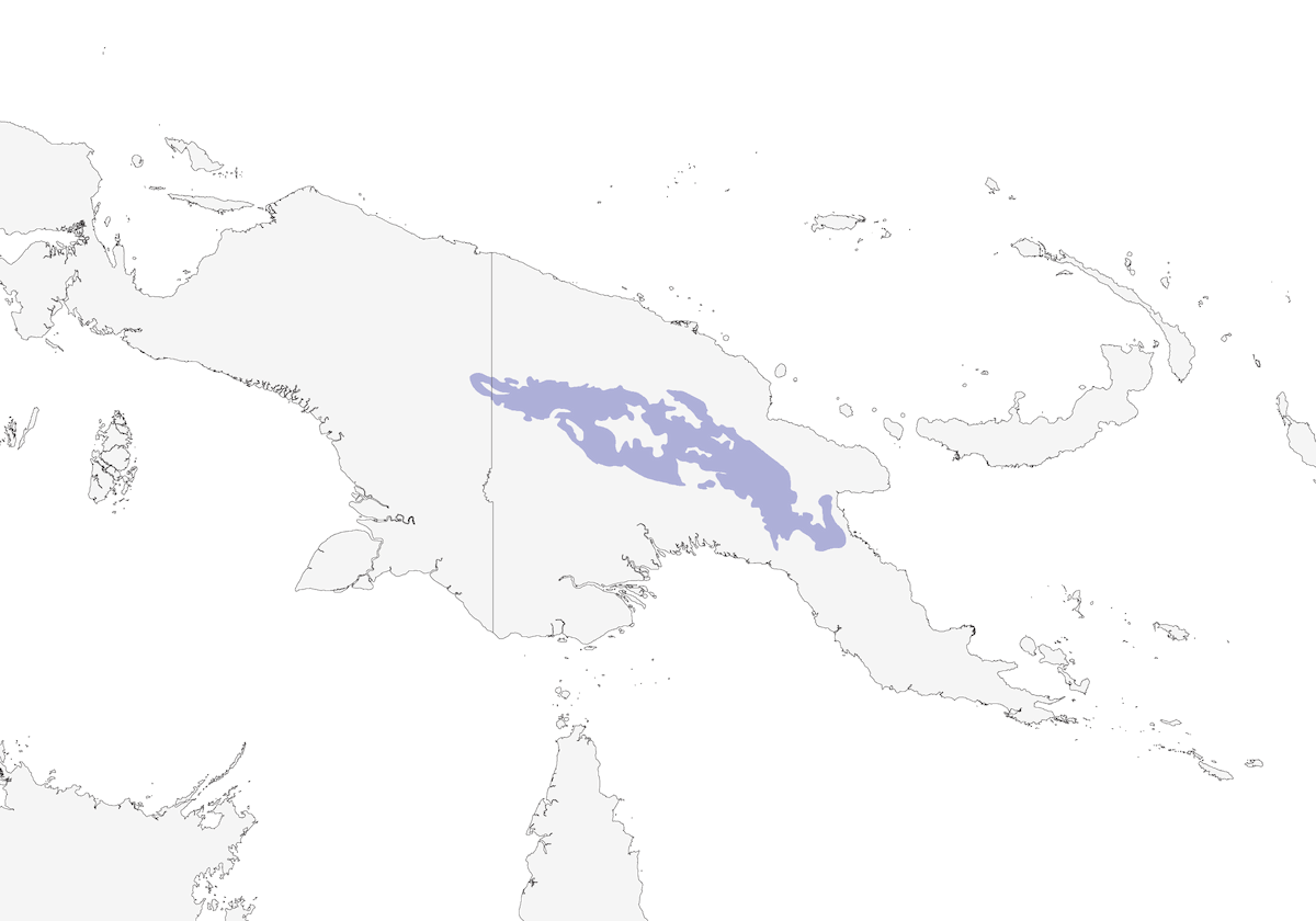 Mielero cejiamarillo, Distribución 1