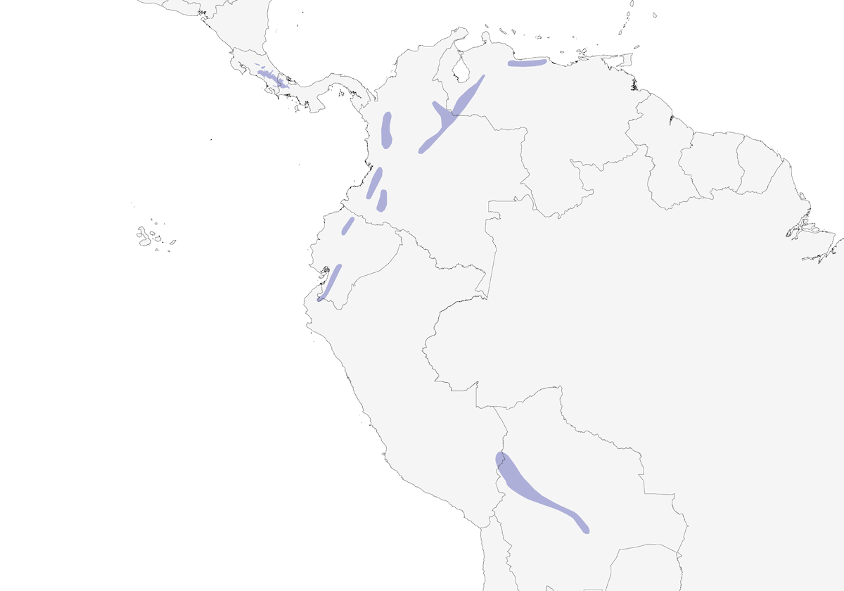 Lucherino ventregiallo, Distribuzione 1