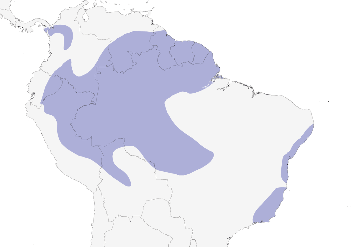 Tangara de dorso amarillo, Distribución 1