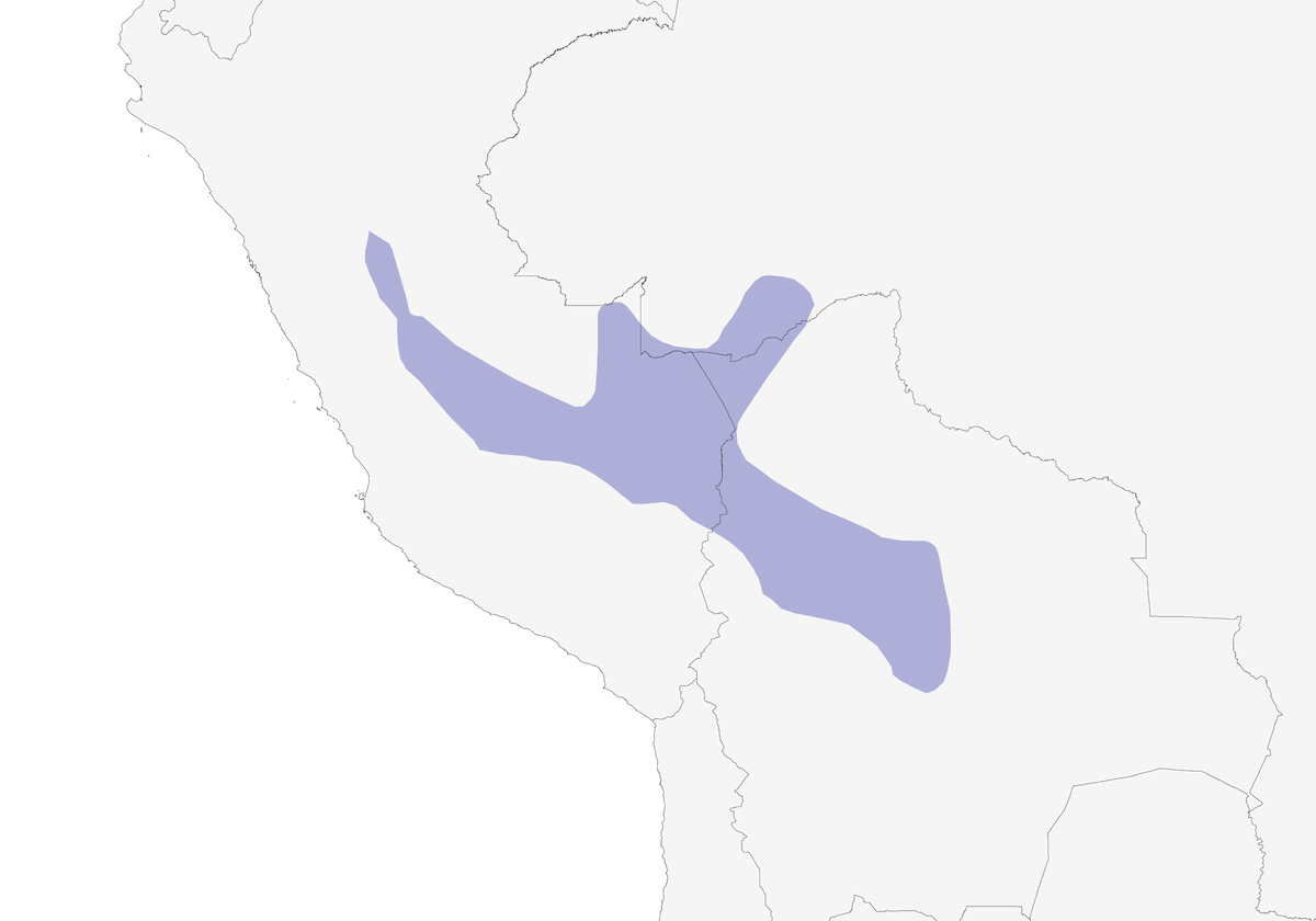 Yellow-breasted Warbling-Antbird, Distribution 1