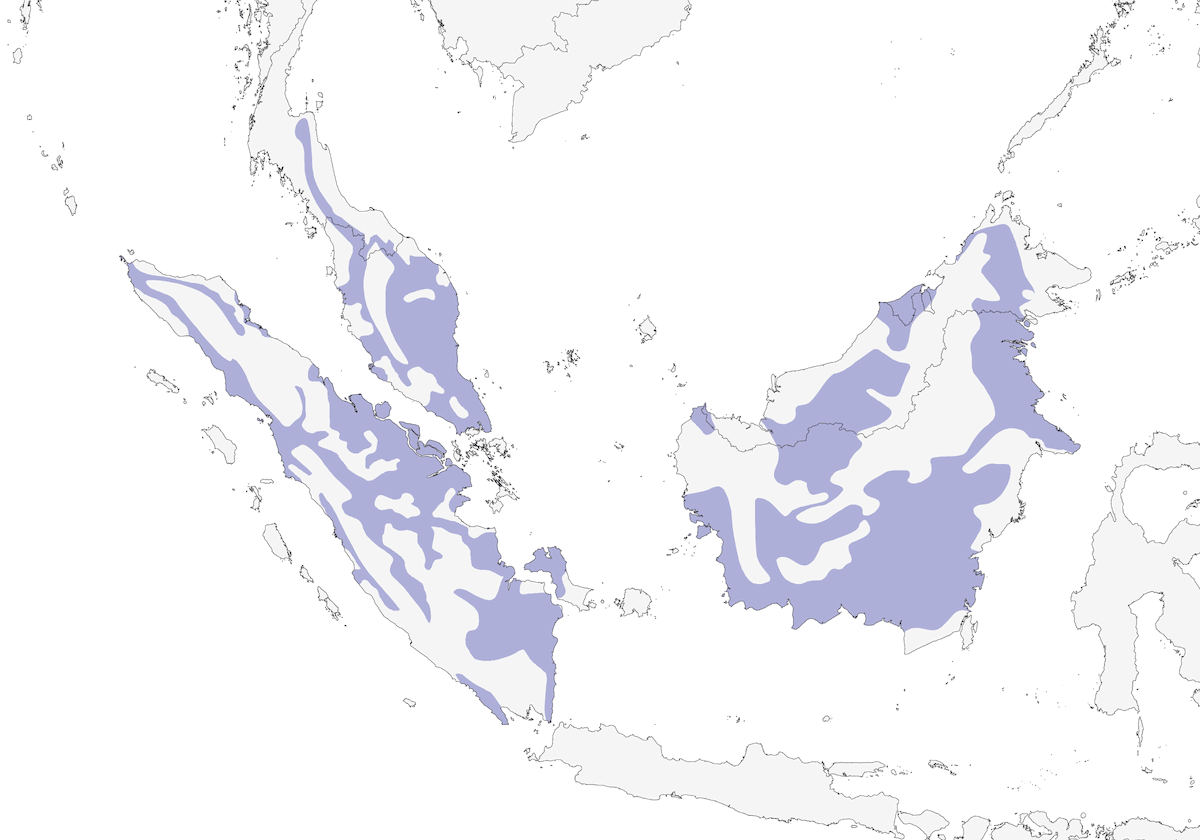 Barbudo Coroniamarillo, Distribución 1