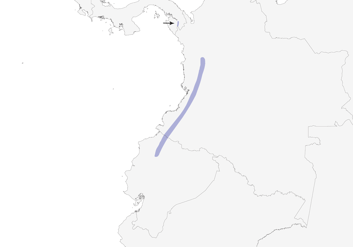 Clorofonia Collareja, Distribución 1