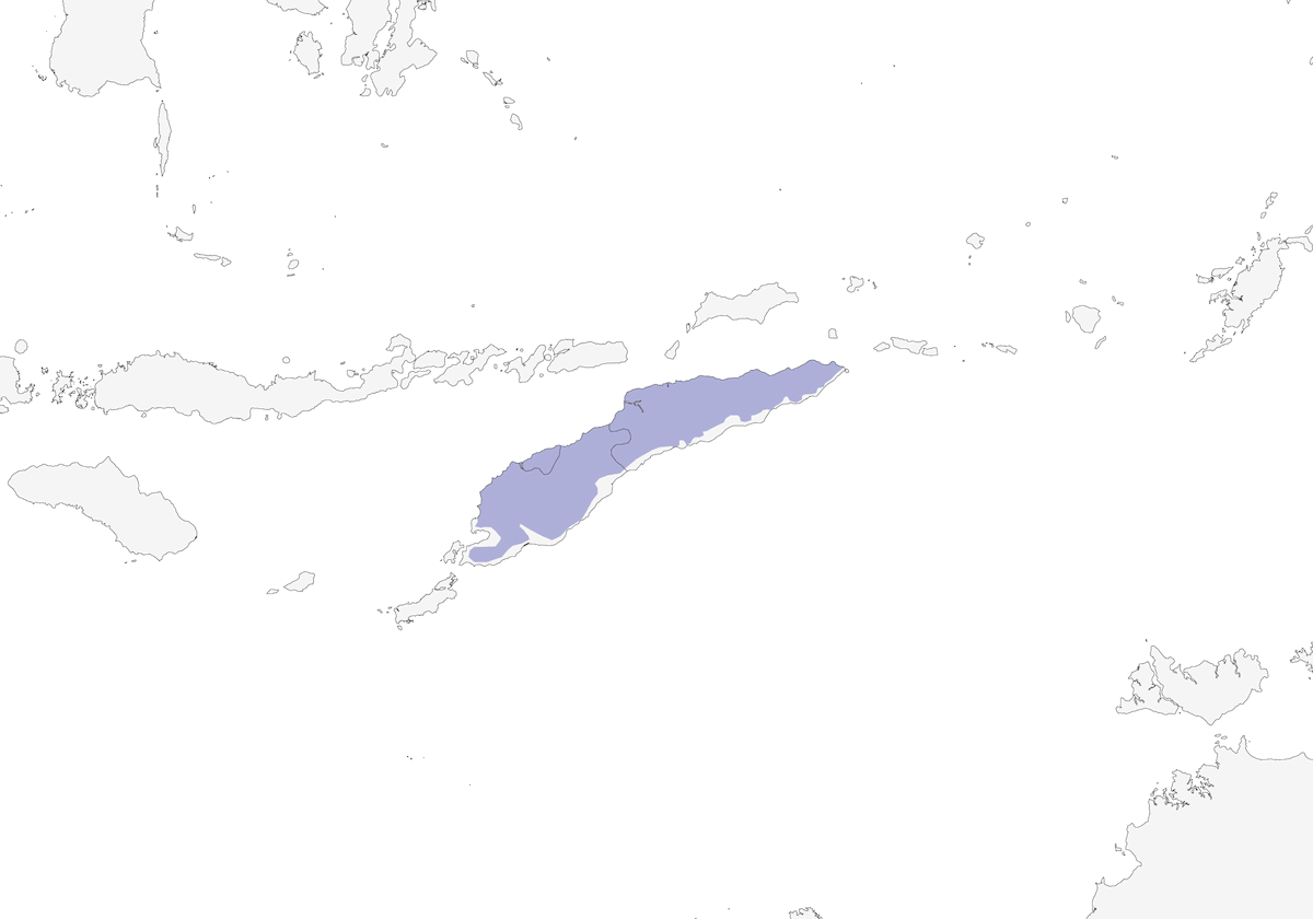 Melifago dalle orecchie gialle, Distribuzione 1